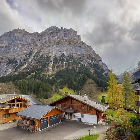 Chalet Ribi Γκρίντελβαλντ Εξωτερικό φωτογραφία