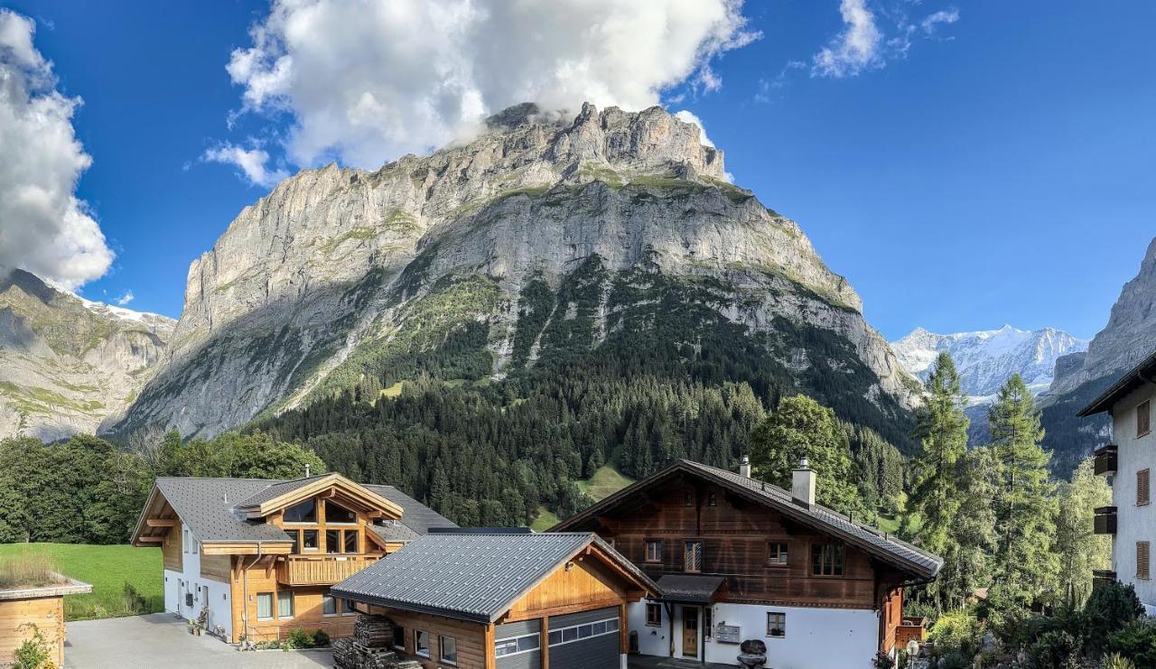 Chalet Ribi Γκρίντελβαλντ Εξωτερικό φωτογραφία
