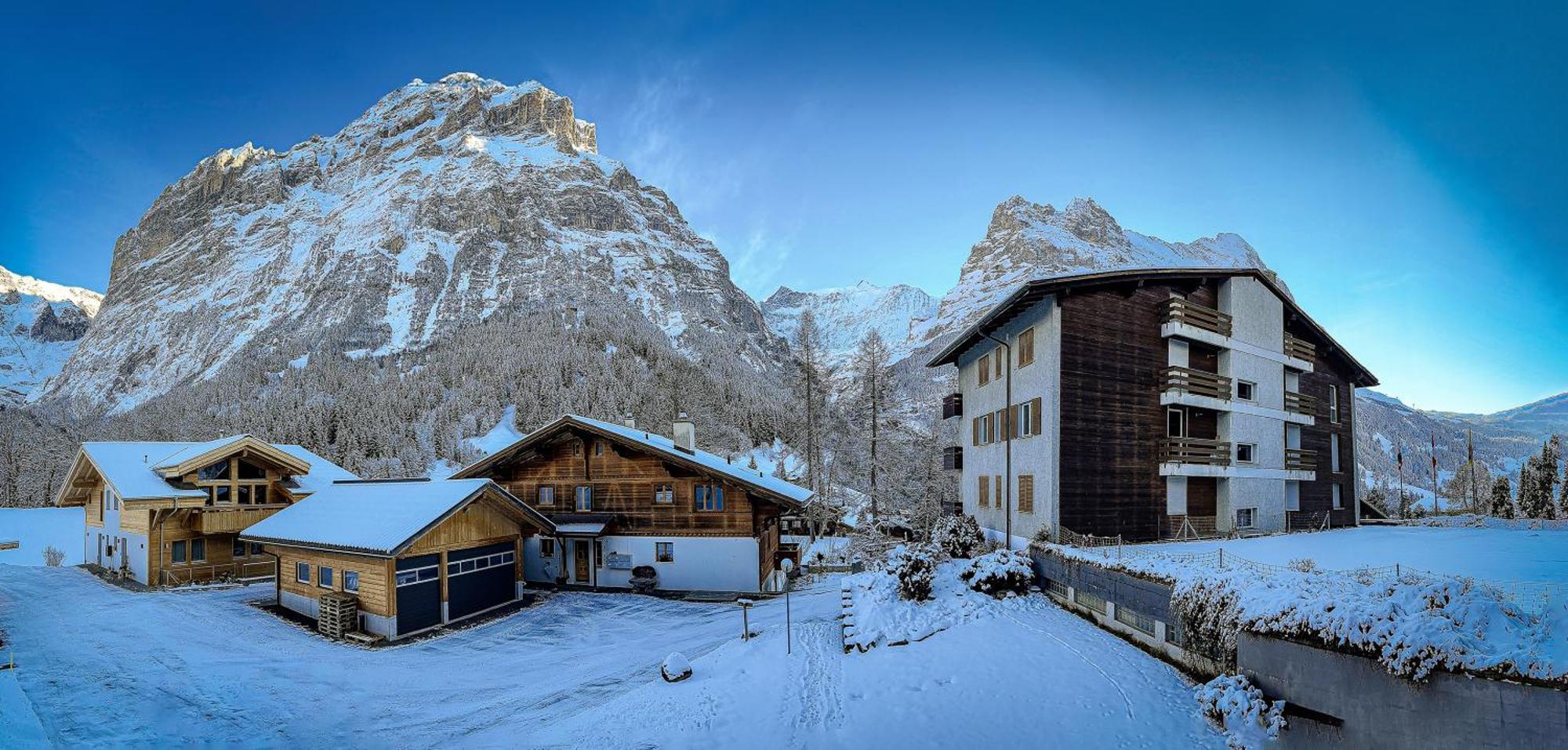 Chalet Ribi Γκρίντελβαλντ Εξωτερικό φωτογραφία