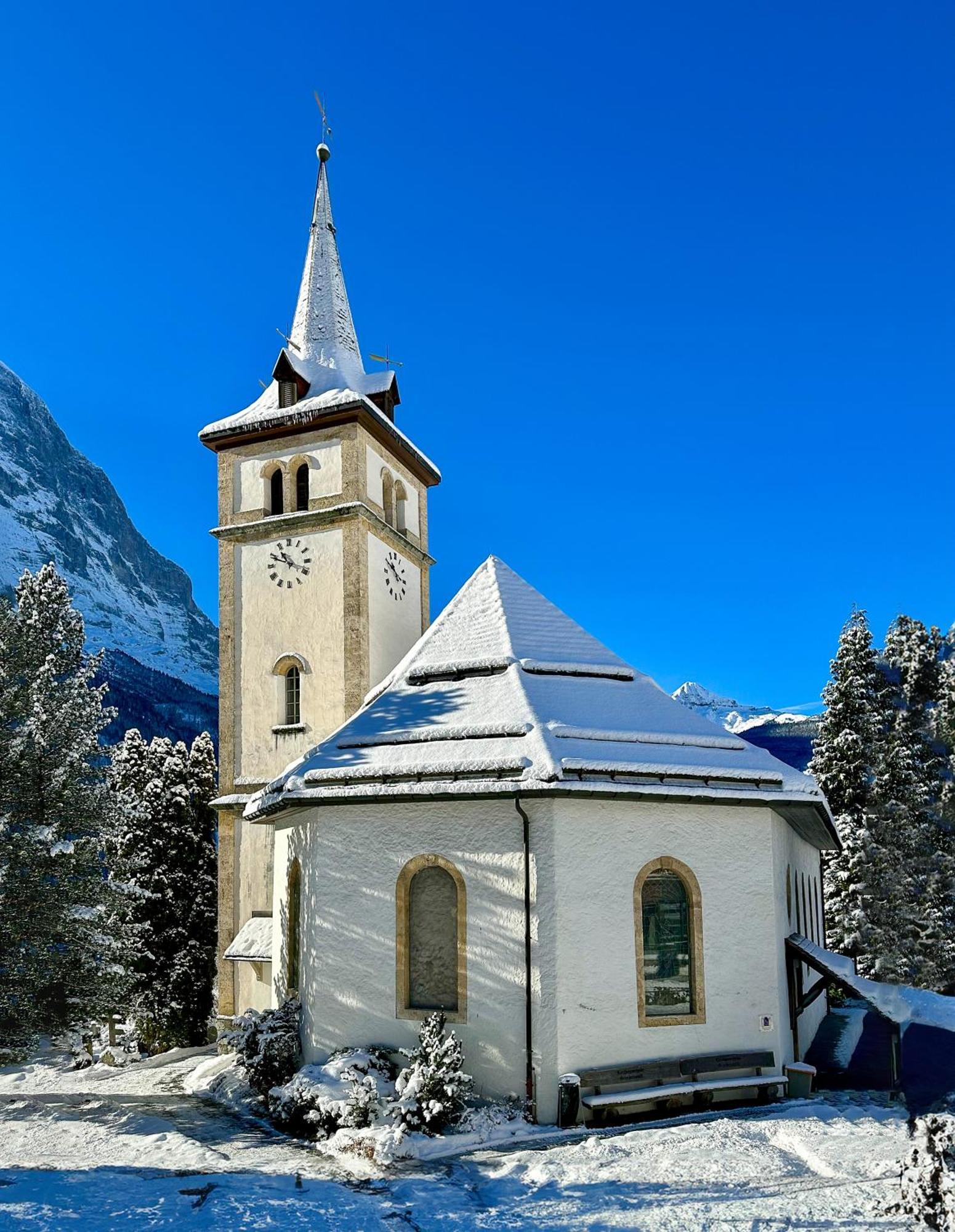 Chalet Ribi Γκρίντελβαλντ Εξωτερικό φωτογραφία