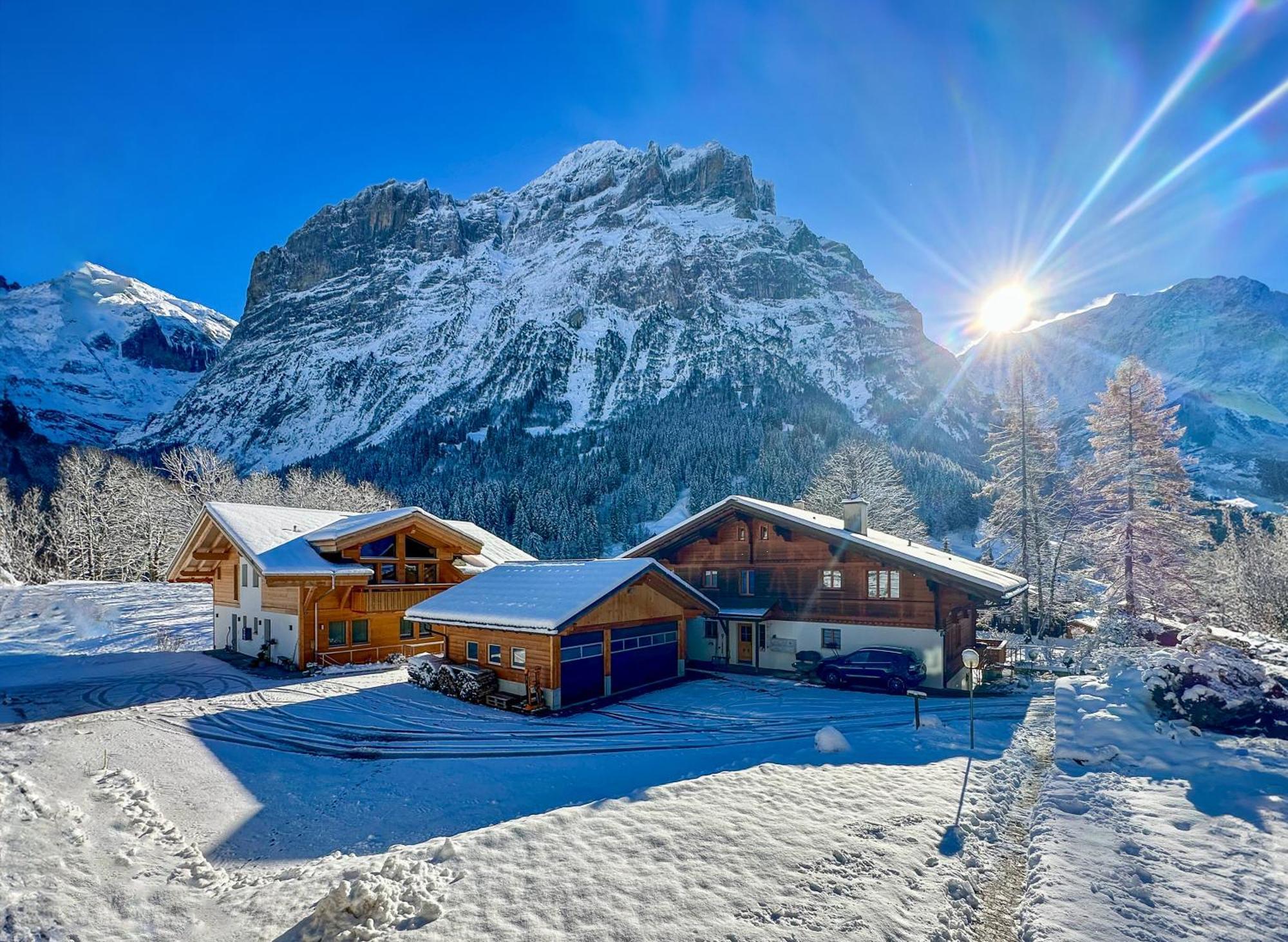 Chalet Ribi Γκρίντελβαλντ Εξωτερικό φωτογραφία