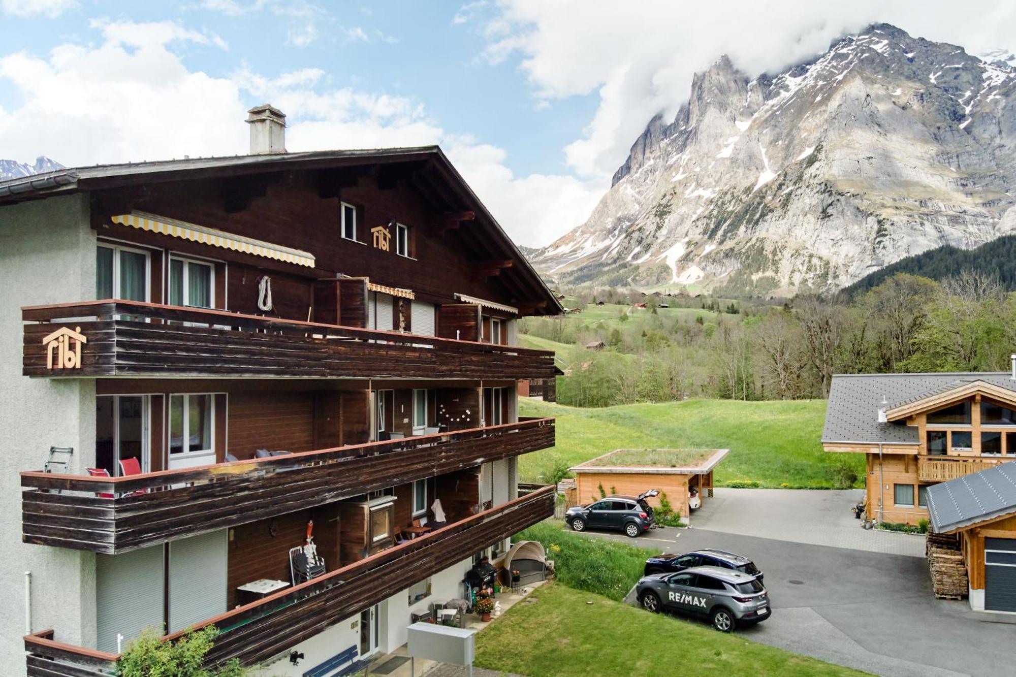 Chalet Ribi Γκρίντελβαλντ Εξωτερικό φωτογραφία